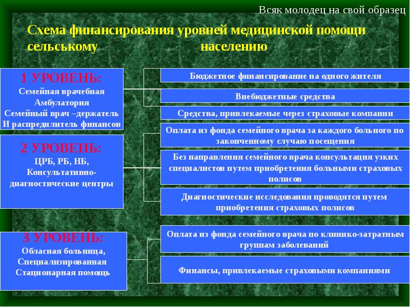 Система оказания медицинской помощи населению схема