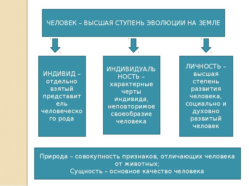 Сущность человека презентация