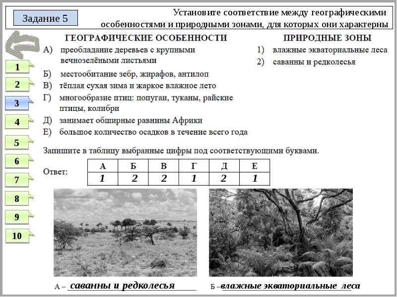 Установите соответствия между природными зонами и их изображениями