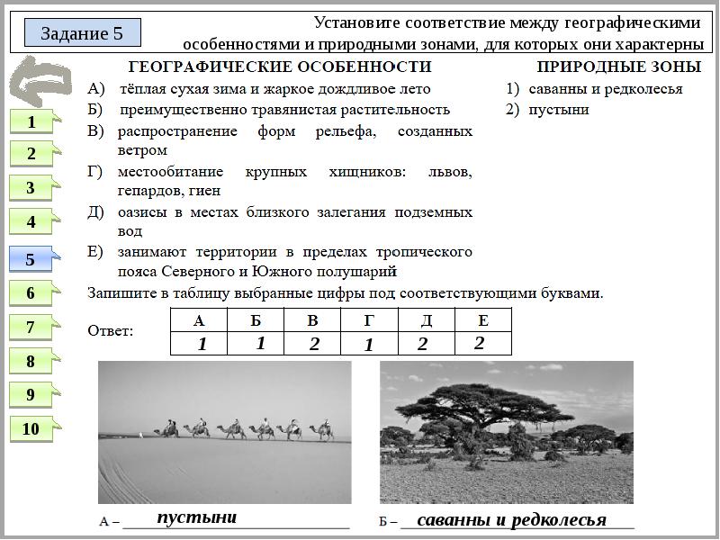 Установите соответствие между изображениями