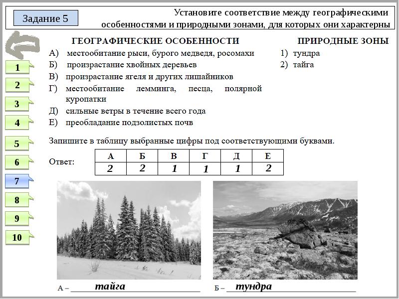 Проект по географии 8 класс пример