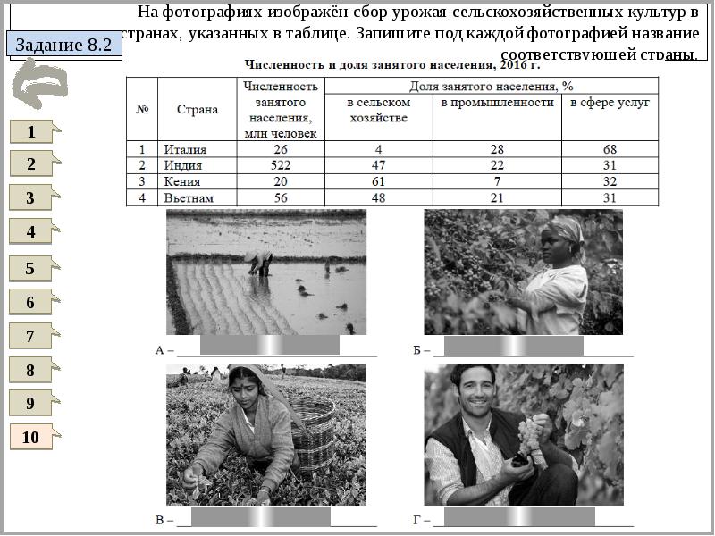 Определить что на фотографии