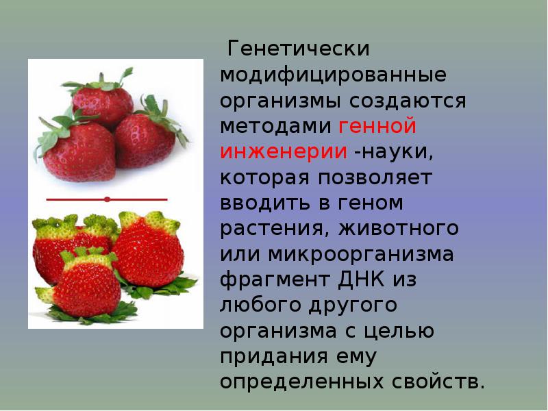 Презентация по биологии 10 класс генная и клеточная инженерия