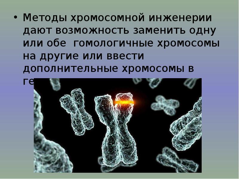 Хромосомная и генная инженерия презентация