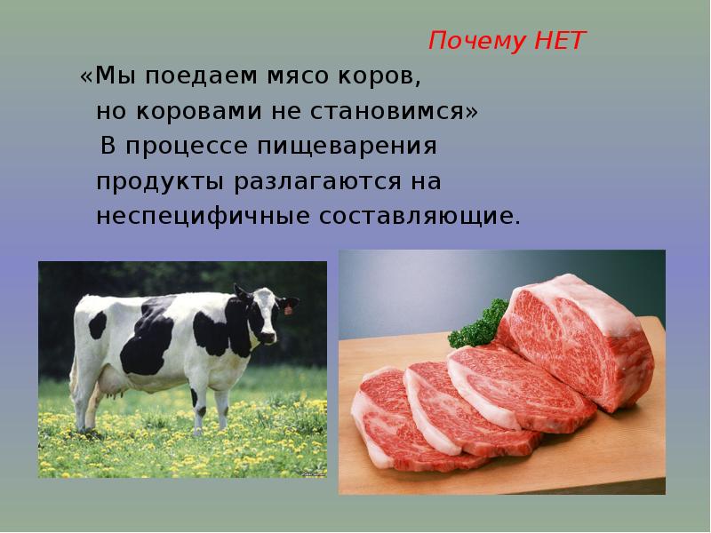 Хромосомная и генная инженерия презентация