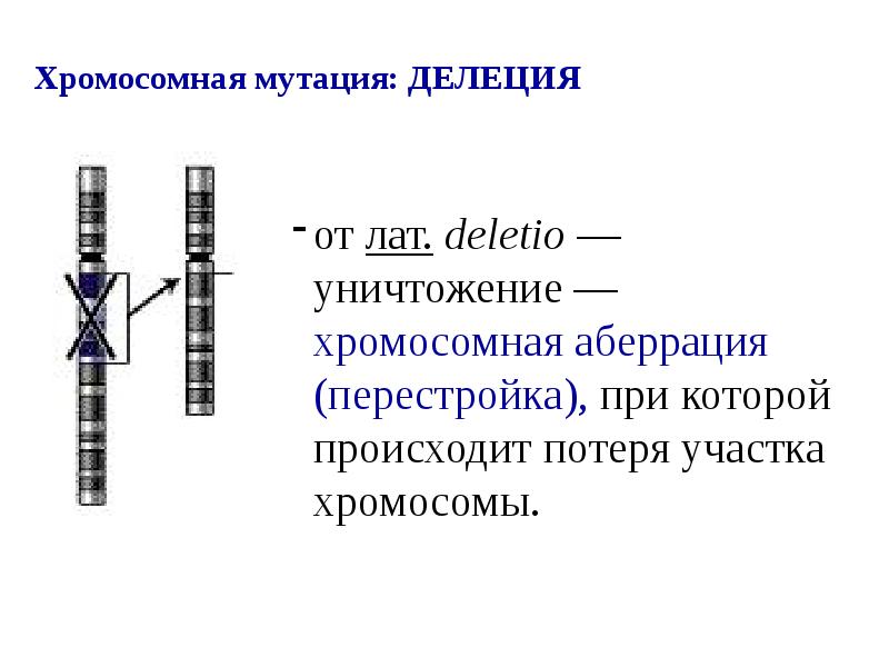 Хромосомные мутации это. Делеция генетика. Хромосомные мутации делеция. Делеция хромосомы. Хромосомные аберрации делеция.