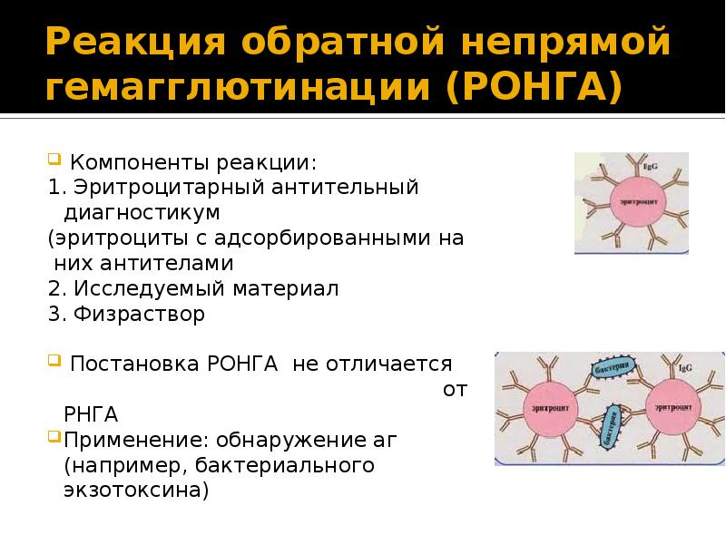 Реакция прямой гемагглютинации