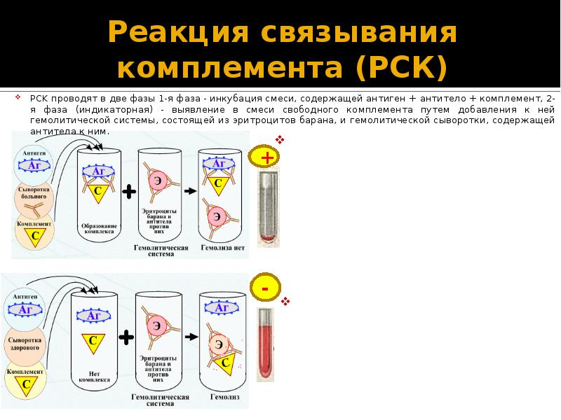 Схема постановки реакции связывания комплемента