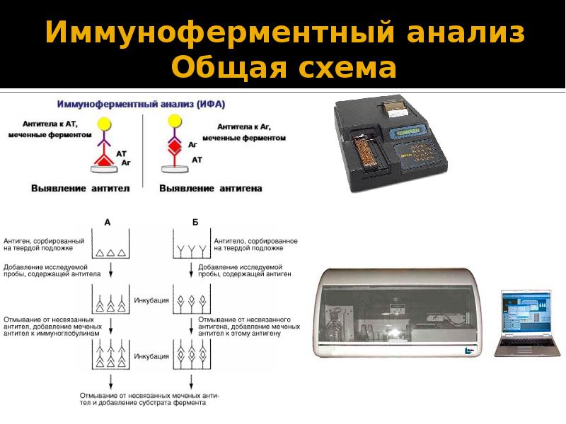 Серодиагностика ифа схема