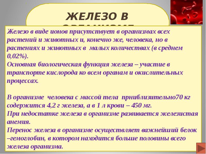 Роль железа в организме человека проект