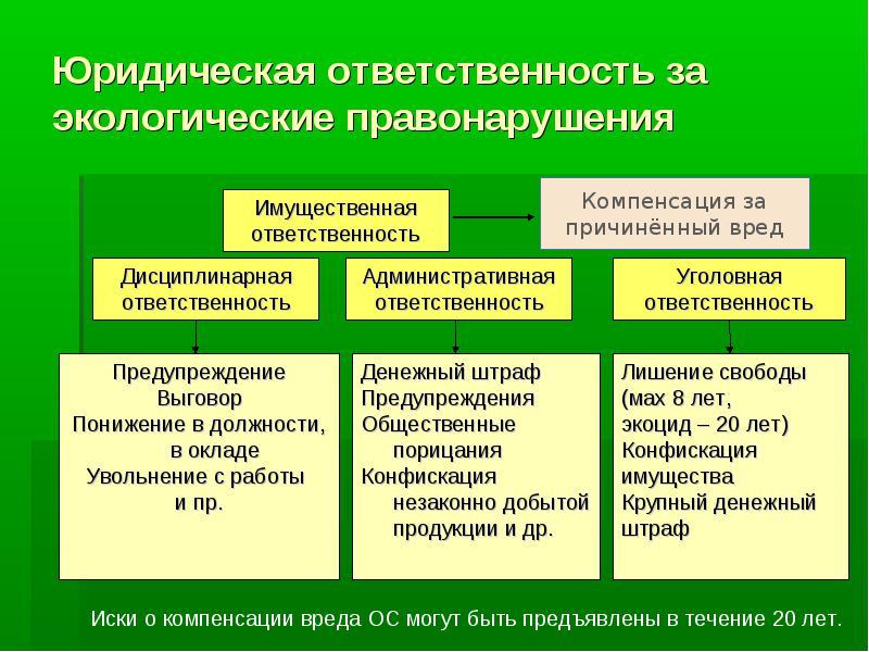 План экологическое правонарушение