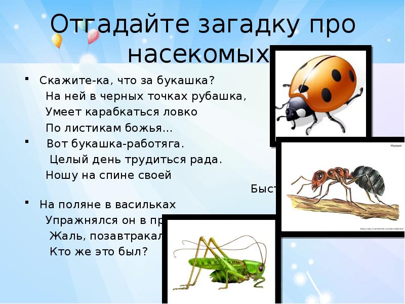 Про насекомых детям 3 лет. Загадки про насекомых для детей. Стихи про насекомых для детей. Загадки про насекомых для дошкольников. Загадки на тему насекомые.