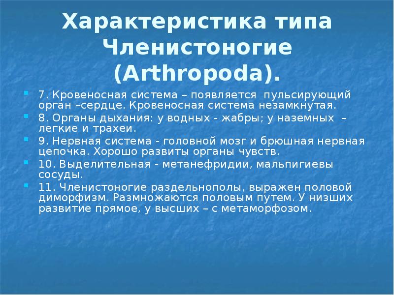 Характеристика типа Членистоногие (Arthropoda). 7. Кровеносная система – появляется пульсирующий орган