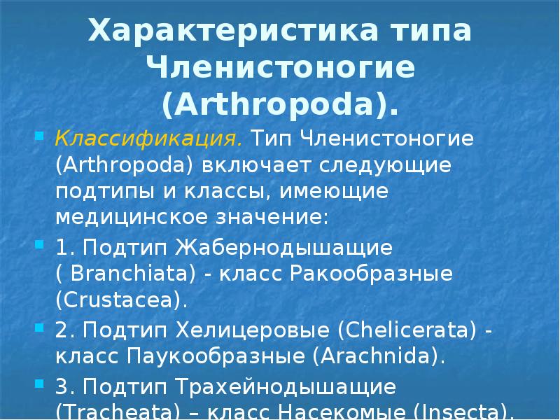 Характеристика типа Членистоногие (Arthropoda). Классификация. Тип Членистоногие (Arthropoda) включает следующие подтипы