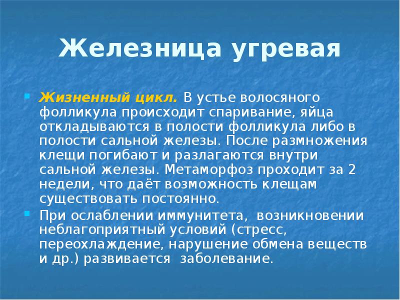Железница угревая Жизненный цикл. В устье волосяного фолликула происходит спаривание, яйца