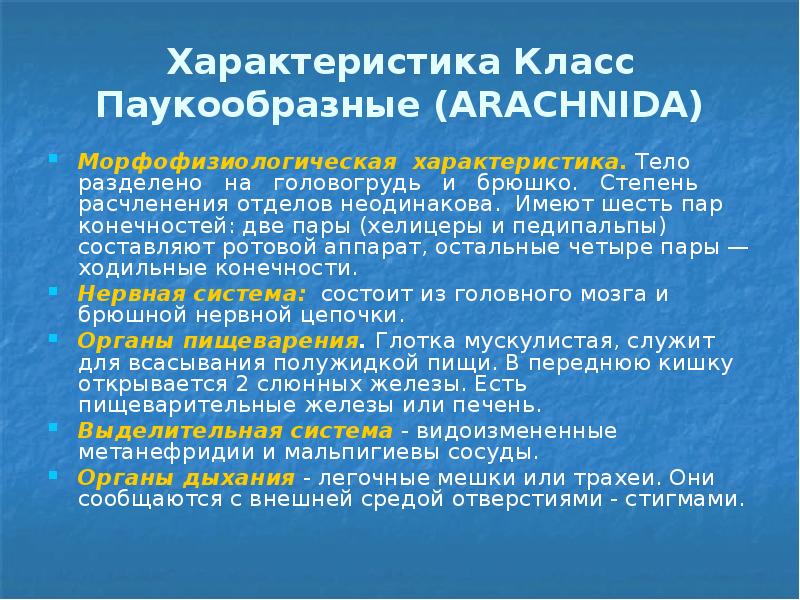 Характеристика Класс Паукообразные (ARACHNIDA) Морфофизиологическая характеристика. Тело  разделено  на
