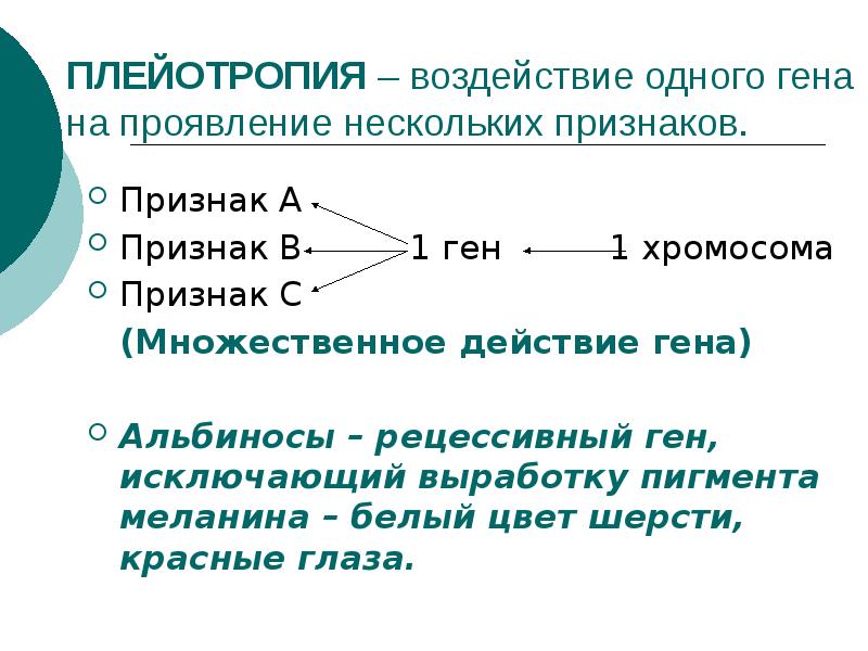 Геном презентация 10 класс