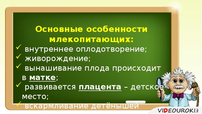 Размножение и развитие млекопитающих 8 класс презентация