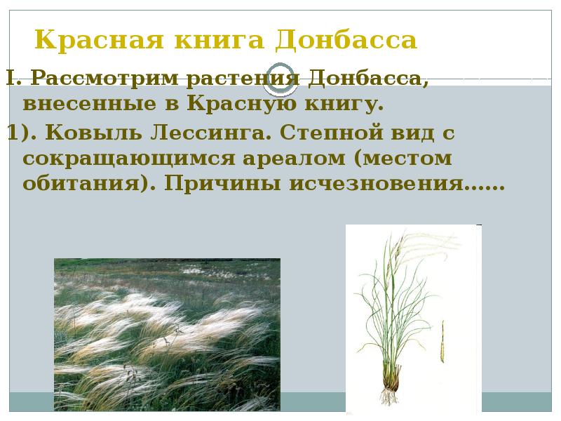 Красная книга донбасса презентация