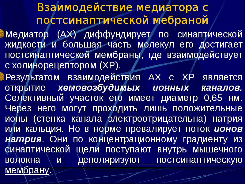 Медиатором в скелетных мышцах является