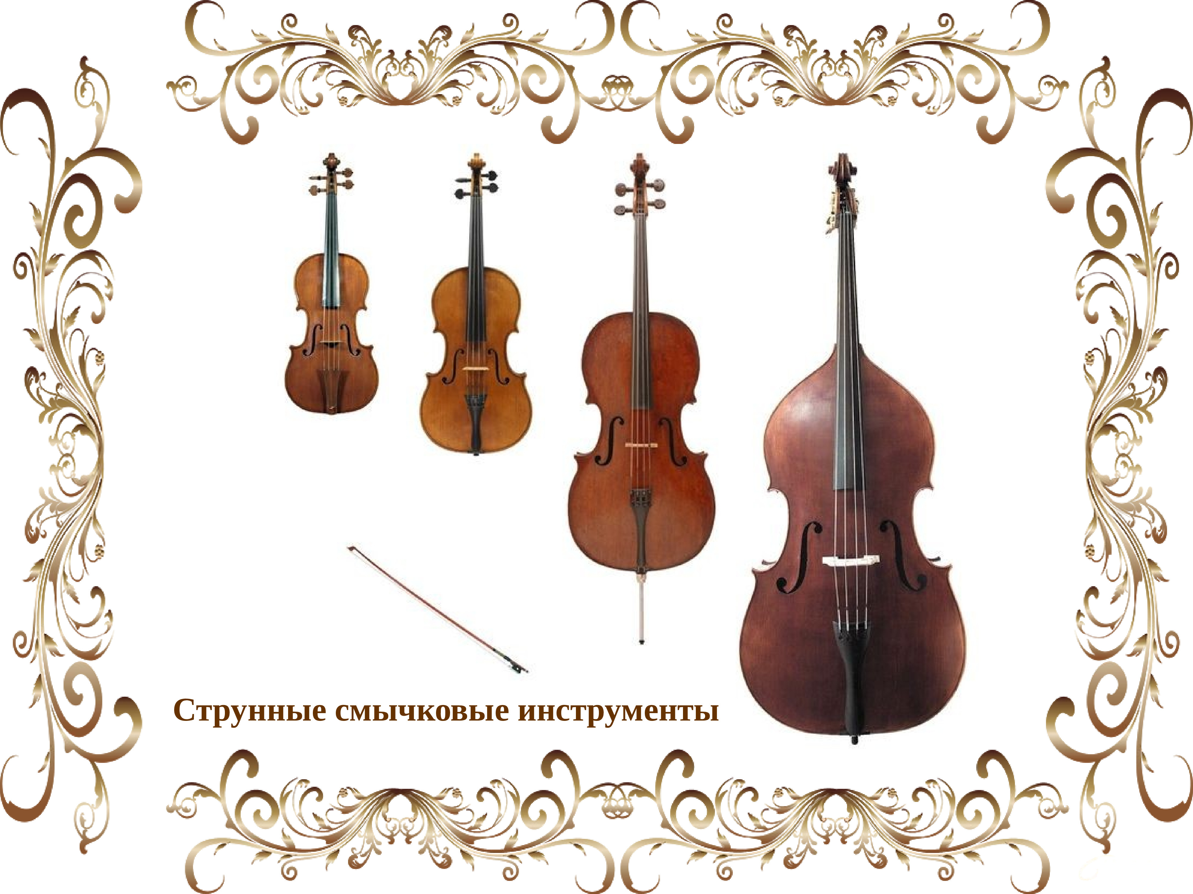 Инструменты струнно смычковой группы симфонического оркестра