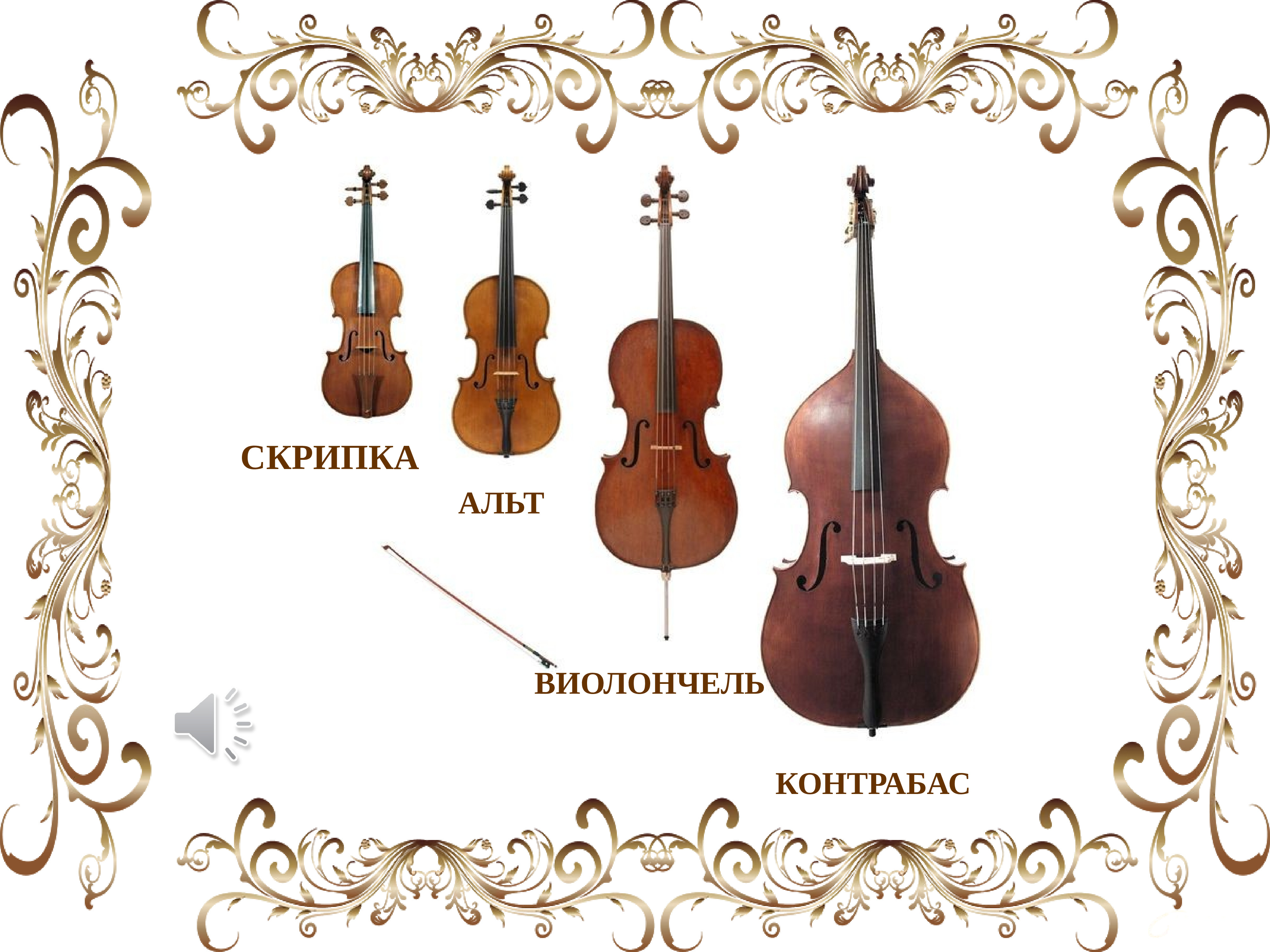 Струнно-смычковые инструменты симфонического оркестра