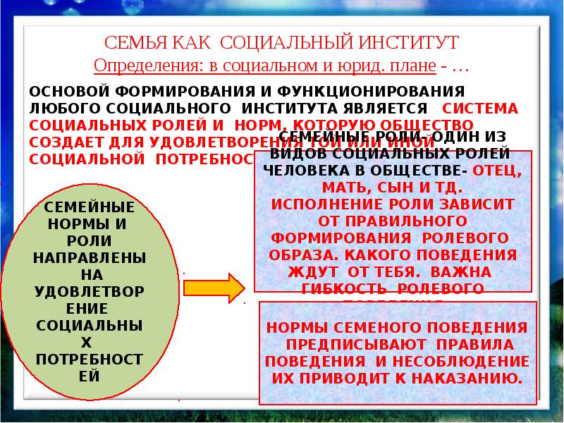 Нормы семейного института. Социальные нормы института семьи. Семья как социальный институт. Социальный институт семьи определение.