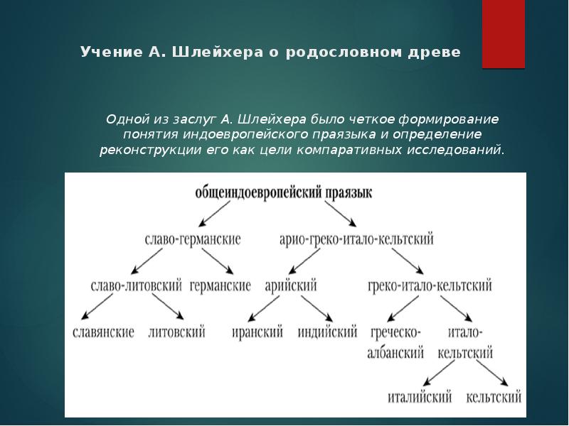 Август шлейхер презентация