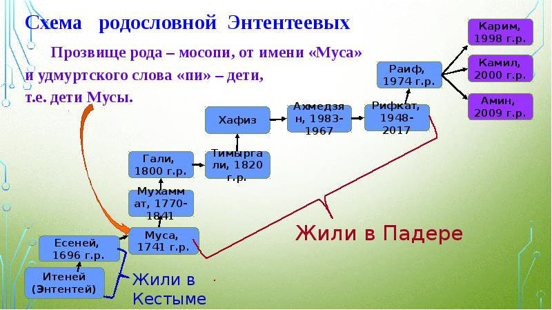 Проведите стрелки и заполните пропуски в генеалогической схеме