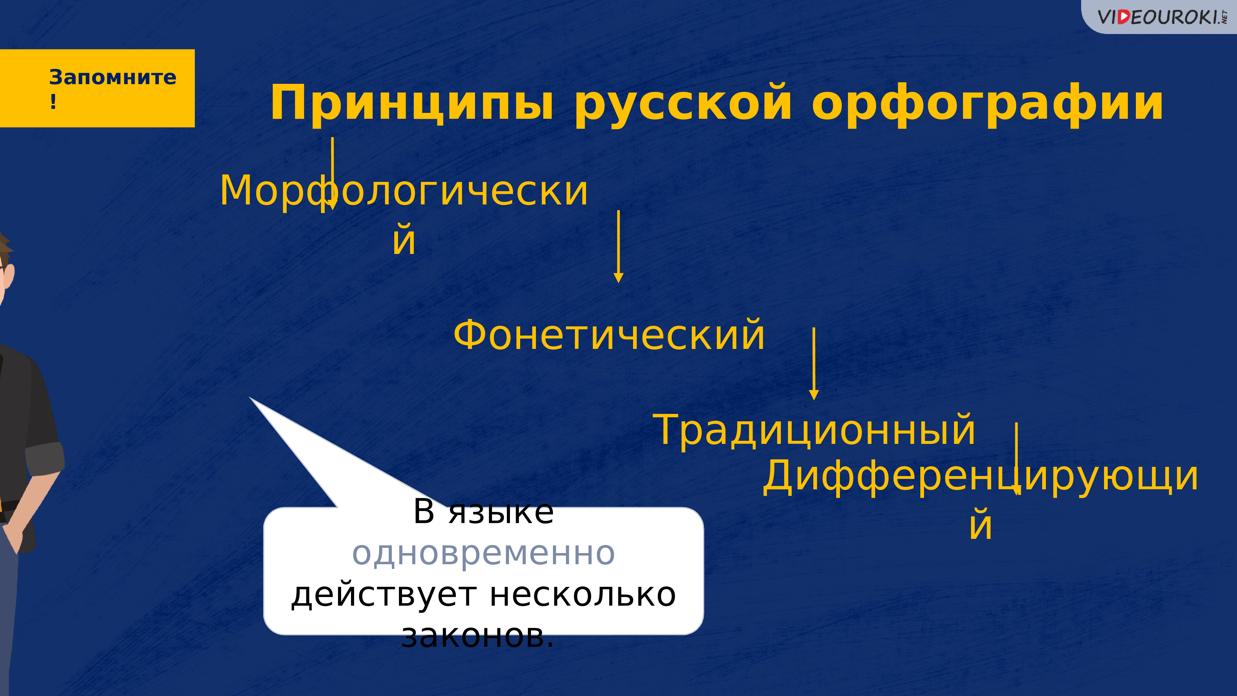 Принципы русской орфографии презентация