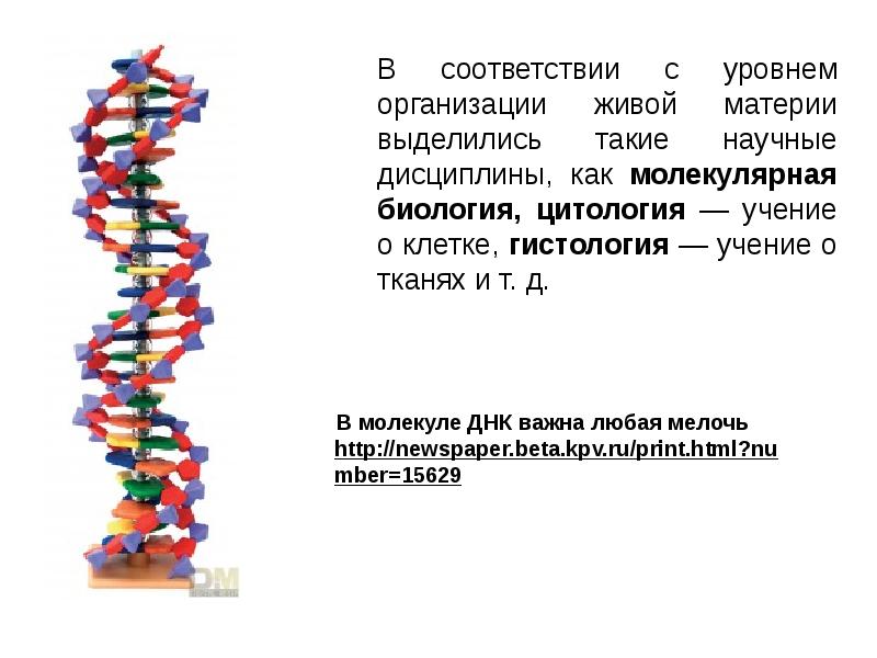 Тест уровни организации живой. Молекулярный уровень организации живого. Молекулярный уровень организации жизни примеры.