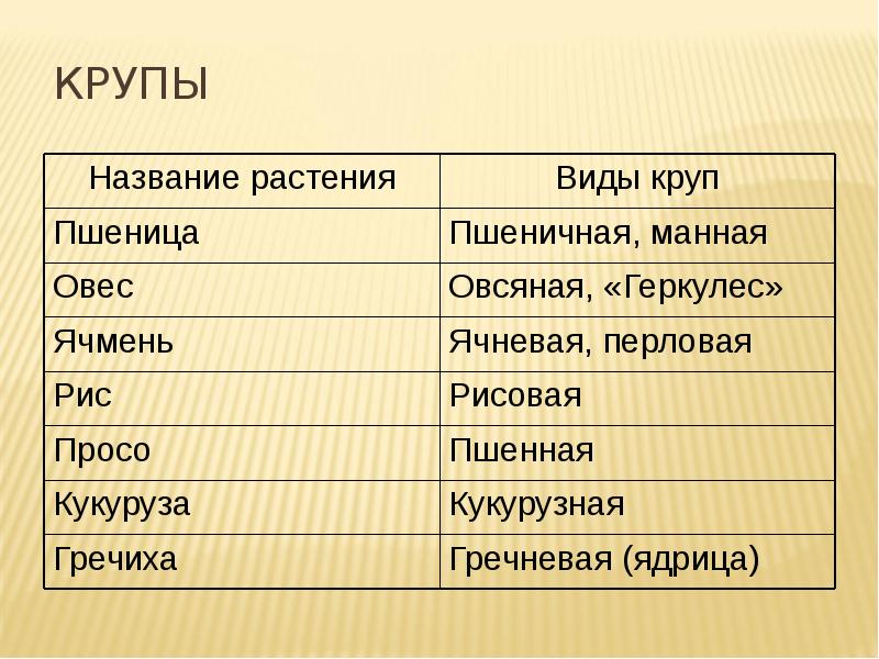 6 класс крупы, бобовые и макаронные изделия | PPT