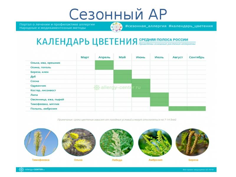 Аллергический ринит презентация