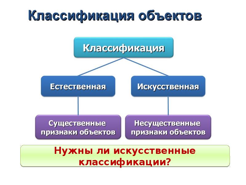 Принципы систематики презентация