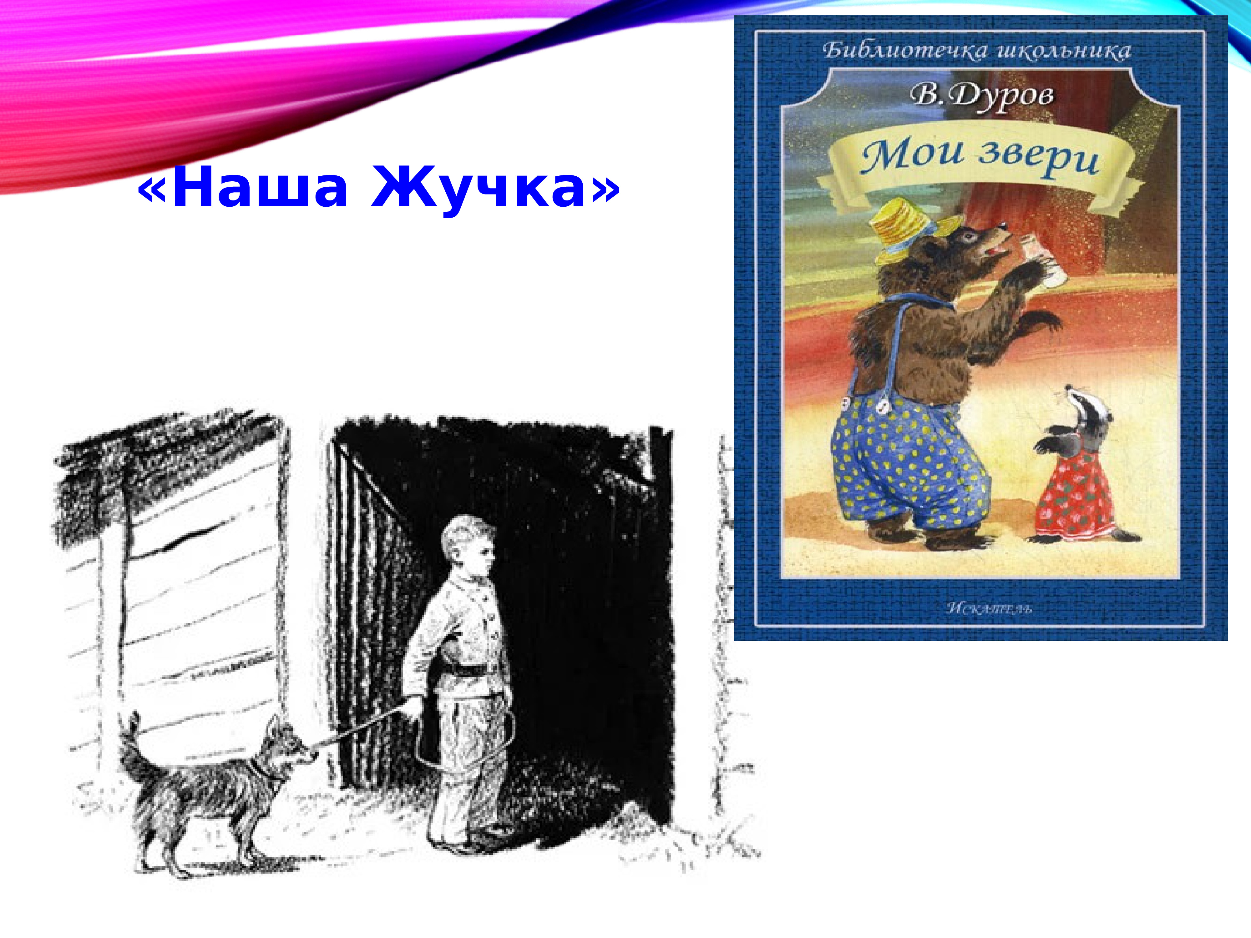 Владимир Дуров наша жучка рисунок