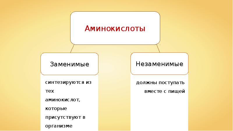 Презентация питание и пищеварение 8 класс пасечник