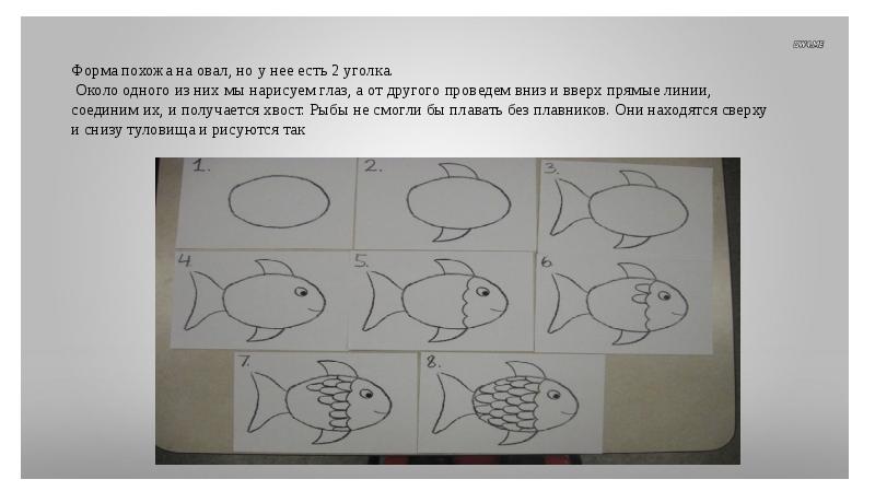 Конспект занятия рыбы в старшей группе. Рисование рыбка вторая младшая группа. Рисование рыбки в младшей группе. Рисование рыбки в средней группе. Рисование в средней группе рыбы в аквариуме.