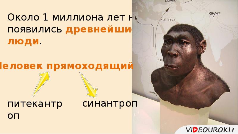 Около 1 миллиона лет назад появились древнейшие люди. Около 1 миллиона лет назад появились древнейшие люди.