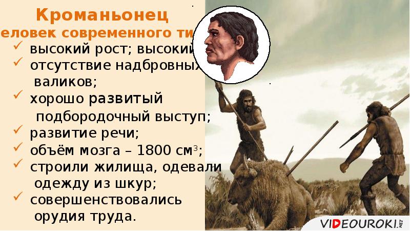 Кроманьонец (человек современного типа) Кроманьонец (человек современного типа)