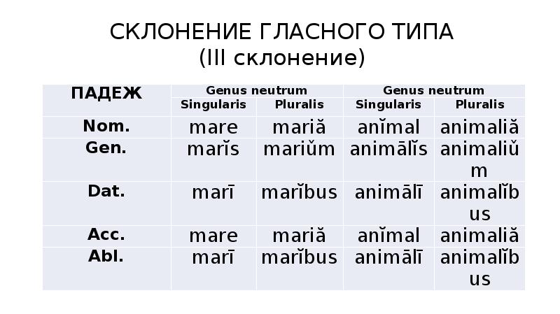 Типы 3 склонения в латинском языке