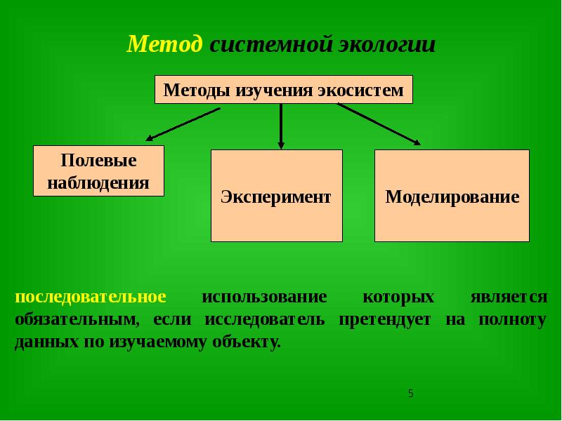 Перечисли изучения природы. Методы исследования экосистем. Методы изучения экологии.