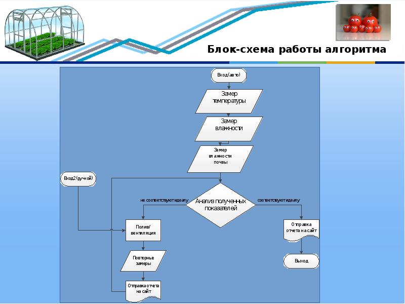 Алгоритм работы над проектом