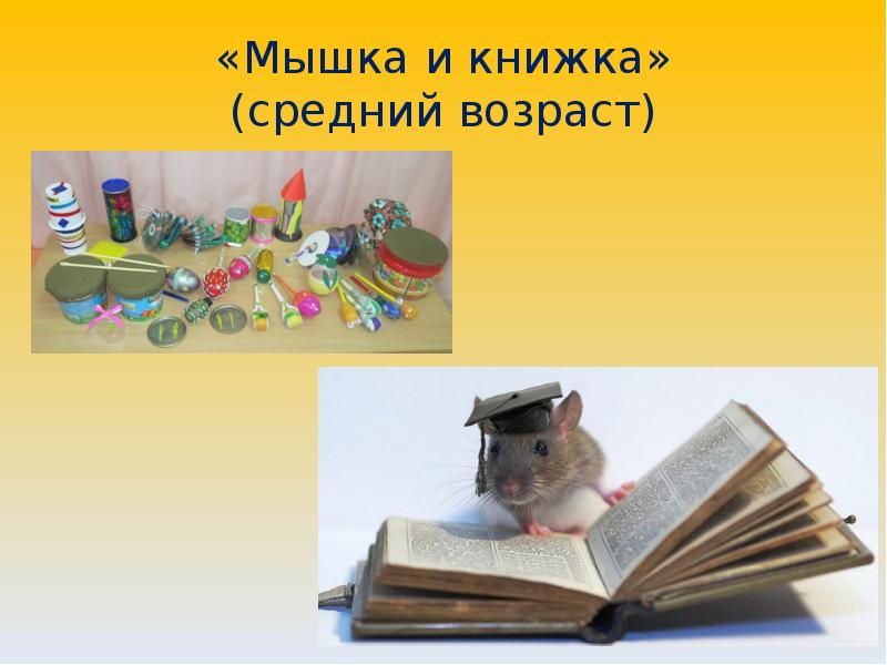 Средняя книга