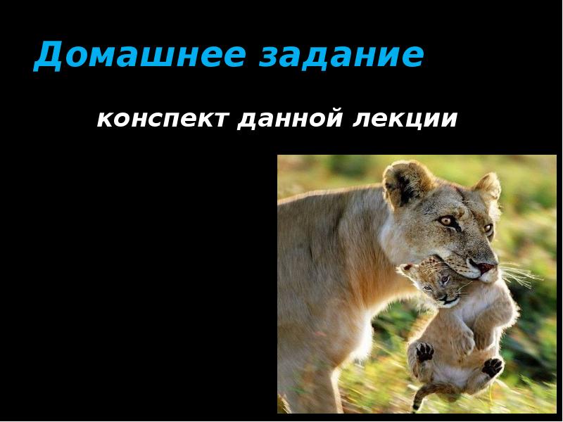 Домашнее задание конспект данной лекции