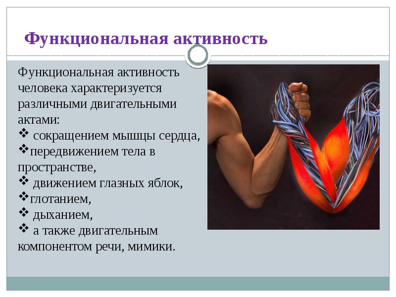 Что такое активность. Функциональная активность человека. Взаимосвязь мышечной активности и умственной деятельности. Взаимосвязь физической и умственной деятельности человека. Функциональная активность человека картинки для презентации.