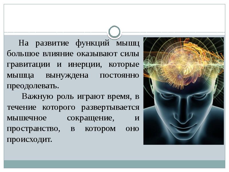 Функциональная активность человека и взаимосвязь физической и умственной деятельности презентация