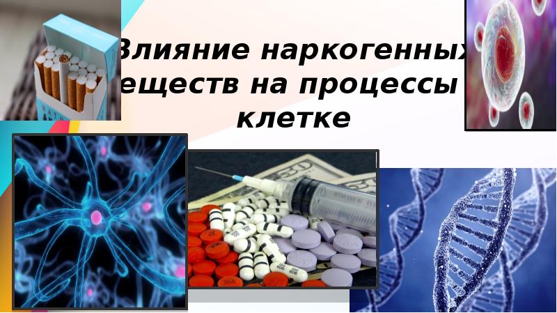 Презентация на тему вред наркогенных веществ биология 8 класс