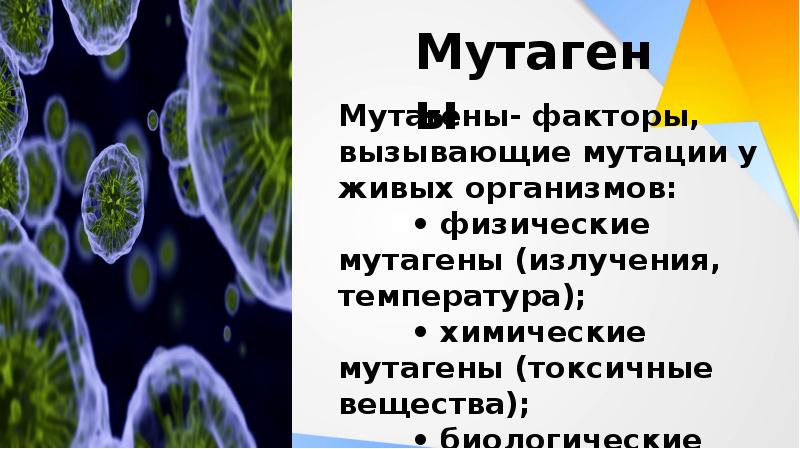 Влияние наркогенных веществ на процессы в клетке презентация