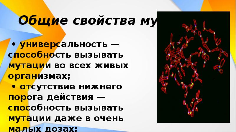 О вреде наркогенных веществ презентация 8 класс биология