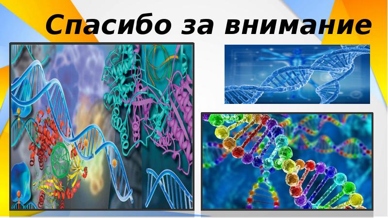 Влияние наркогенных веществ на процессы в клетке презентация